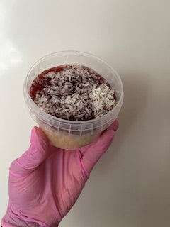 "Back to School" Treat Box (postal)
