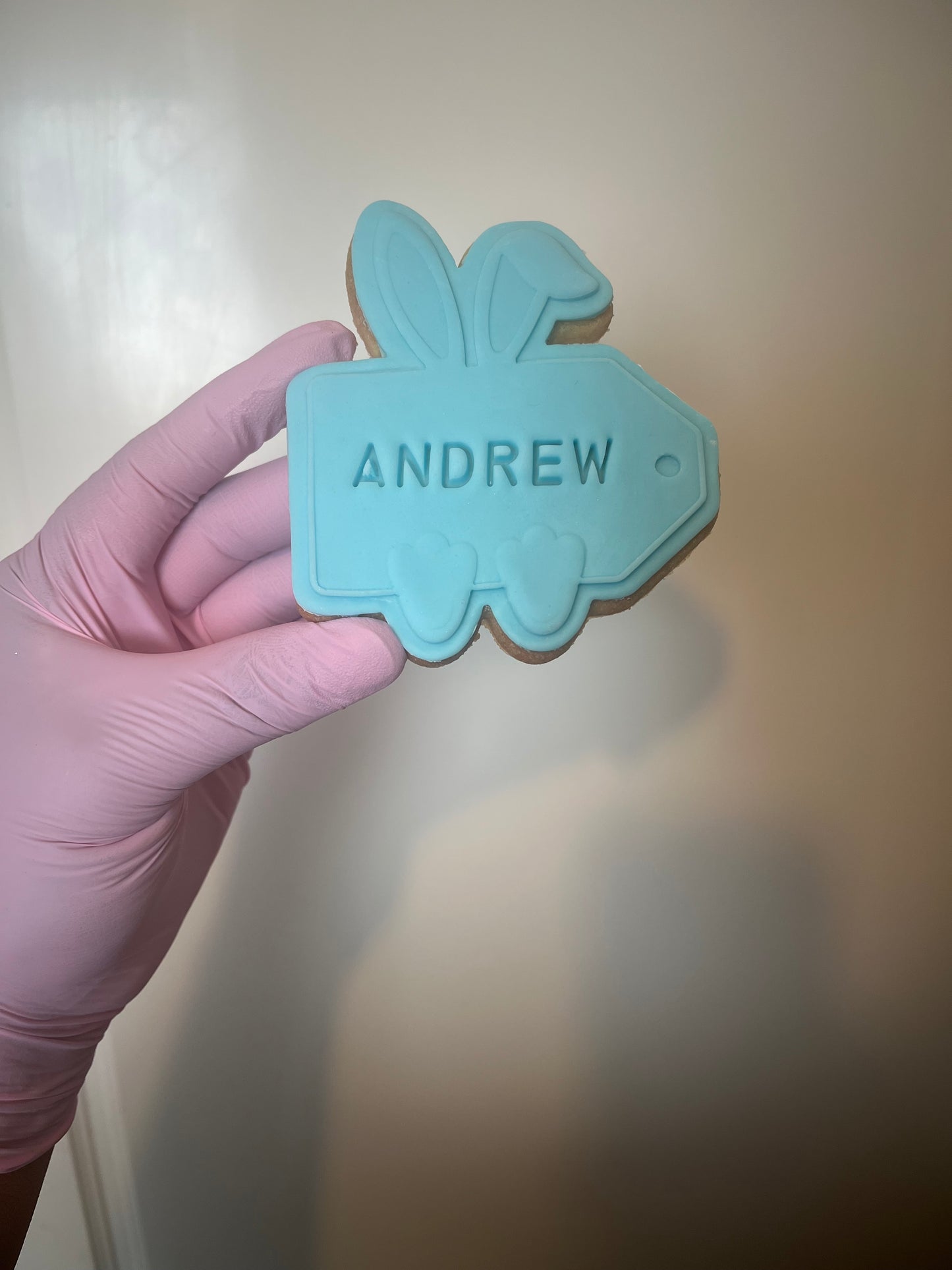 Easter themed Sugar cookies - Postal and Collection available